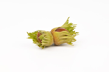 Two nuts with green leaves on top