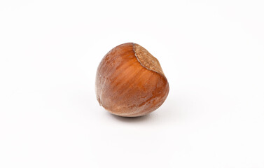 A nut is shown on a white background