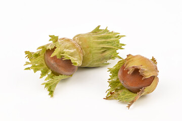 Two nuts are shown, one of which is partially opened