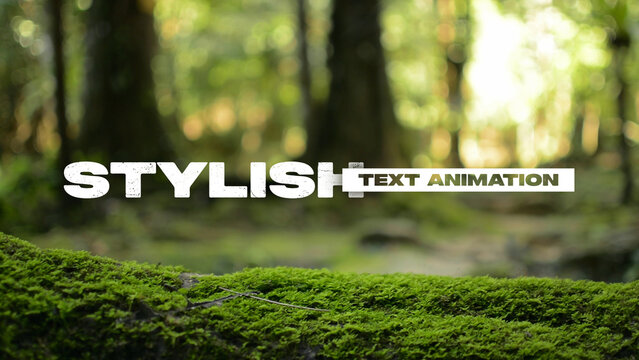 Text Animations Template for Social Media