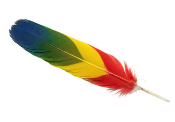 Vibrant rainbow feather resting on a white background, showcasing its colorful stripes and delicate texture