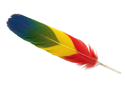 Vibrant rainbow feather resting on a white background, showcasing its colorful stripes and delicate texture