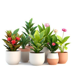 Collection of beautiful plants in ceramic pots isolated on transparent background. 3D render.