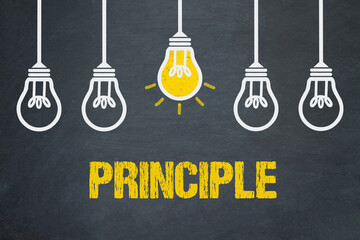 Principle