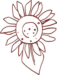 Cute hand drawn line art whimsical illustration of sunflower late summer flower. Outlined vector clip art
