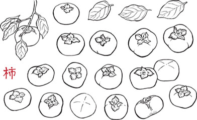 筆で描いた柿