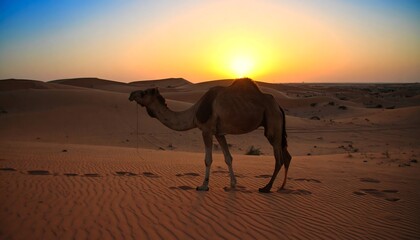 A solitary camel stands silhouetted against a vibrant sunset over a vast desert landscape, bathed in warm golden hues.