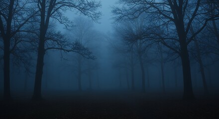 Fototapeta premium Misty forest at dawn