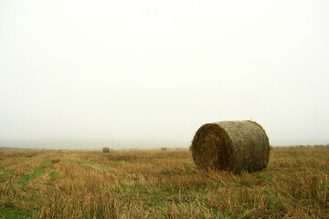 A serene view of a solitary hay bale resting in a misty, harvested field under an overcast sky.