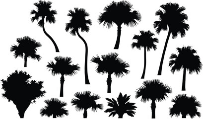 Palm Tree Silhouettes