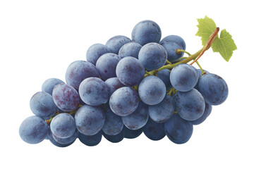 Bunch of fresh purple grapes with green leaf on black background, cut out