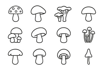 Mushroom bundle thin line icons set, editable stroke vector mushrooms collection for web design, books, cards, apps, cartoon style, transparent background, ordered illustration set