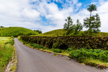 Sao Miguel Roadside Landscape
