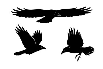 Vector set of black raven silhouettes in flight, shown in three distinct flying poses. Clean, minimal bird icons ideal for design projects, logos, tattoos, and creative artwork.