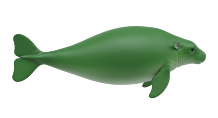Isolated green sea cow, a tropical marine mammal, resting and looking ahead on ground