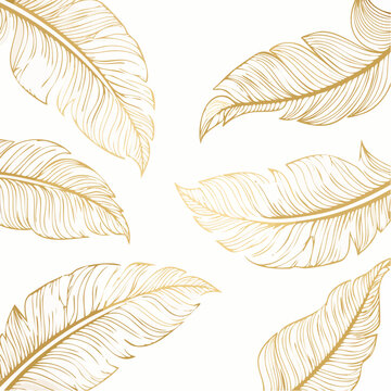 Elegant gold feather design, intricate pattern on a white background.