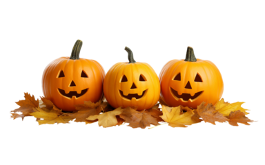 Three Carved Halloween Pumpkins on Autumn Leaves jack-o-lantern isolated on a transparent background