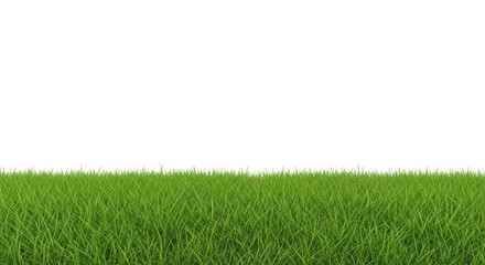 A patch of green grass closeup on transparent background