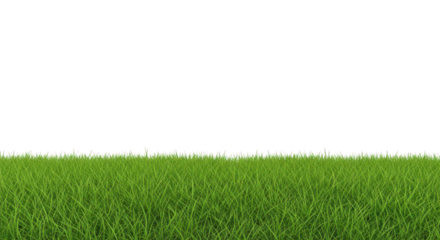 A patch of green grass closeup on transparent background