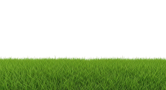 A patch of green grass closeup on transparent background
