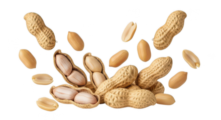 Peanuts in shells and out of shell on transparent background