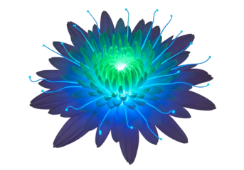 A vibrant, glowing flower with vibrant fluorescent hues, radiating light against a black background.