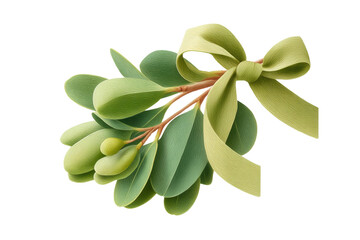 Obraz premium Greenery arrangement with bow tie adorned lush leaves and berries, cut out