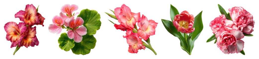 Fototapeta premium Vibrant floral arrangement variety