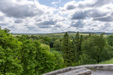 Summer landscape in the sunny day