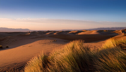 Tranquil Desert Landscape With Golden Grasses And Undulating Sand Dunes At Twilight