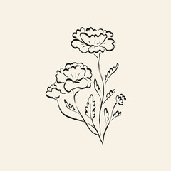 Botanical drawing. Minimal plant logo, botanical graphic sketch drawing,  meadow greenery, leaf and blooming flower abstract sketch element collection, rustic branch. Trendy tiny tattoo design, floral