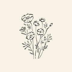 Botanical drawing. Minimal plant logo, botanical graphic sketch drawing,  meadow greenery, leaf and blooming flower abstract sketch element collection, rustic branch. Trendy tiny tattoo design, floral