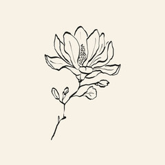 Obraz premium Botanical drawing. Minimal plant logo, botanical graphic sketch drawing, meadow greenery, leaf and blooming flower abstract sketch element collection, rustic branch. Trendy tiny tattoo design, floral