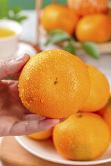 Fresh Yichang Honey Tangerine with Water Drops - Hand Holding Juicy Orange Citrus Fruit