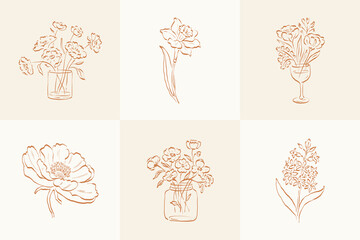 Botanical, Minimal plant flower, hand drawn sketch drawing,  vector illustration
