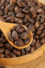 Yunnan Pine Nuts in Wooden Spoon - Wild Mountain Harvest of Bountiful Edible Seeds from Deep Forest