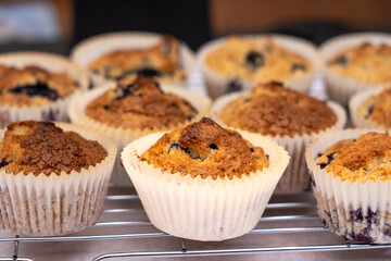 Freshly baked blueberry muffin on cooling rack—homemade comfort food evoking weekend indulgence, warmth, and the charm of a cozy kitchen. Selective focus.