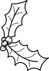 Holly Leaves and Berries Sketch
