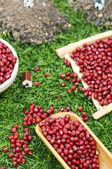 Fresh Red Adzuki Beans in Wooden Bowls for Healthy Asian Cuisine and Eight Treasures Congee Recipes