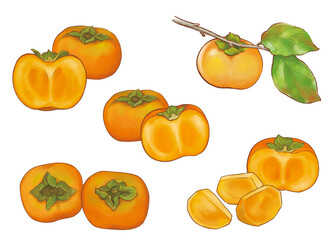 手描きの柿　セット