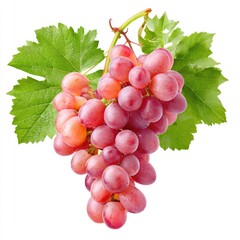 Fototapeta premium Cluster of pinkish gewürztraminer grapes isolated on white background for wine making and design projects