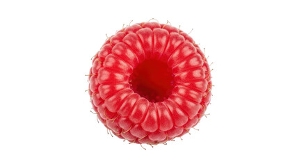 Isolated fresh raspberry close up macro detail for health and wellness recipes and food images