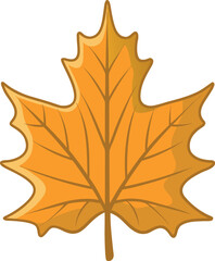 Colorful autumn maple leaf  icon
