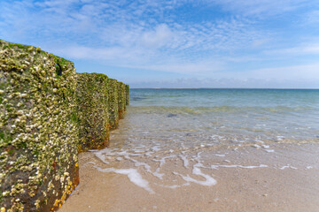 Mit Algen und Muscheln bewachsener Wellenbrecher am Strand Fokus Meer