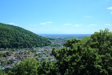 Panoramic urban and forest boundary transition