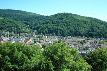 Fototapeta premium Panoramic view of Heidelberg town forest hills