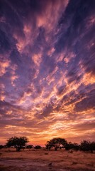 Fototapeta premium Dramatic African Sky at Dusk Trees Silhouetted Against Orange Clouds