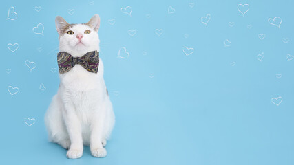 Cute white cat in patterned bow tie surrounded by hearts on blue background, romantic Valentine’s Day pet portrait, love greeting card concept, perfect for holiday celebration design.
