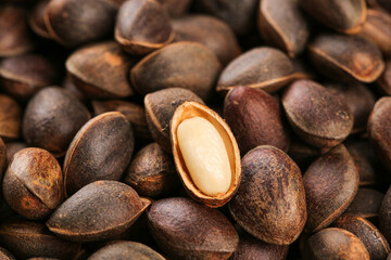 Obraz premium Fresh Wild Pine Nuts from Changbai Mountain - Harvested Natural Edible Seeds with Shells Cracked Open Showing White Kernels