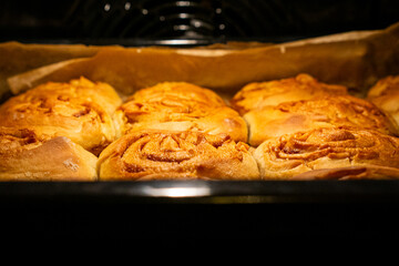 Freshly baked cinnamon rolls in oven tray. Golden brown pastry ready to serve.